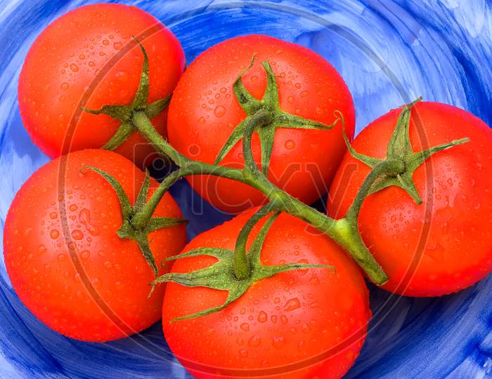 Five bright red organic tomatoes from the vine
