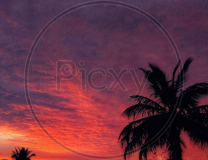 Sunset Dusk orange colour clouds and coconut tree