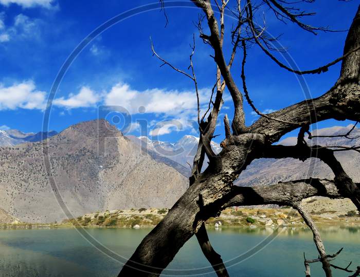 tree on the lake in Dhumba Lake Nepal.Dhumba Lake is a emerald green color lake. It lies at an altitude of 2900 m from sea level. This Lake is very famous for being a sacred Buddhist lake.