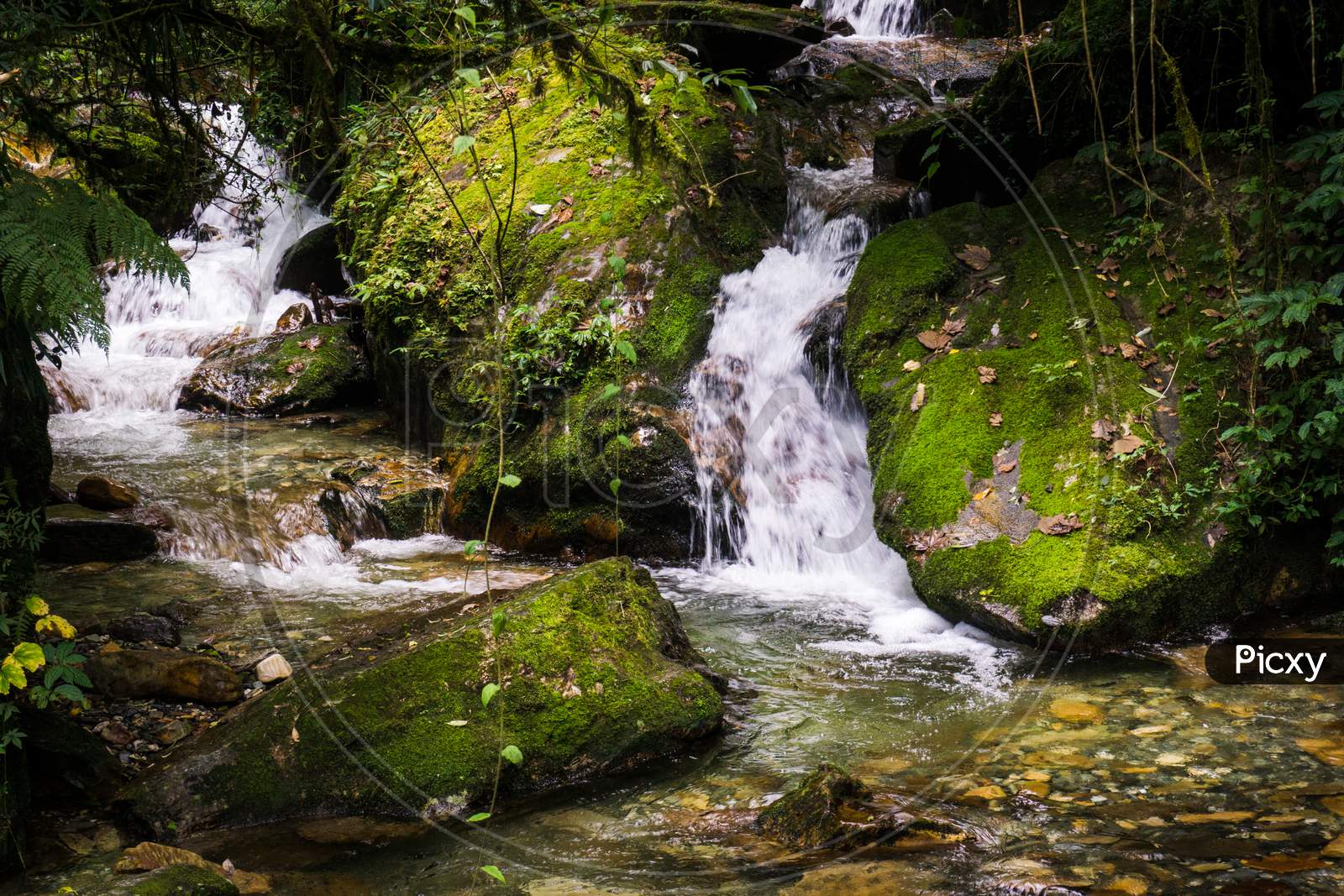Small waterfall and green mossy rocks