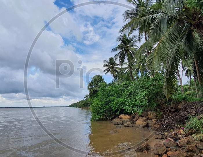 Scenic view of coconut trees on the Godavari river banks in Yanam