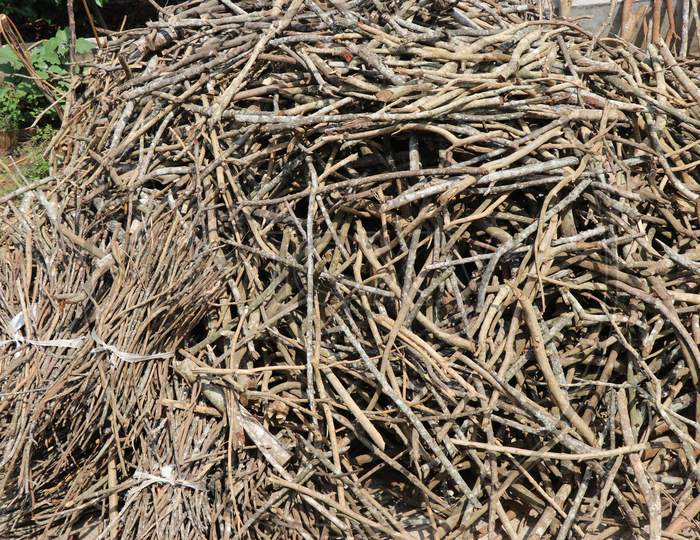 Firewood Which Is Chopped Into Sticks In A Huge Heap Used For Cooking Food
