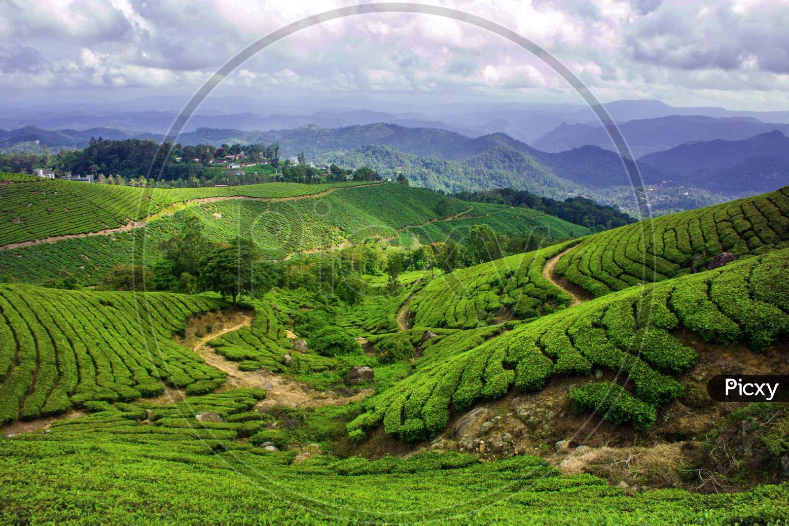 September 2019, Munnar, Kerala - A beautiful tea valley