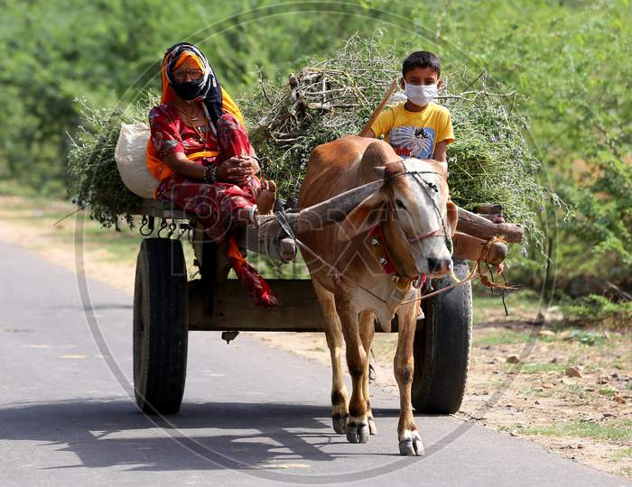 A woman and a child return from fields with the produce on a bullock cart on the outskirts of Ajmer, Rajasthan, India on 09 May 2020.