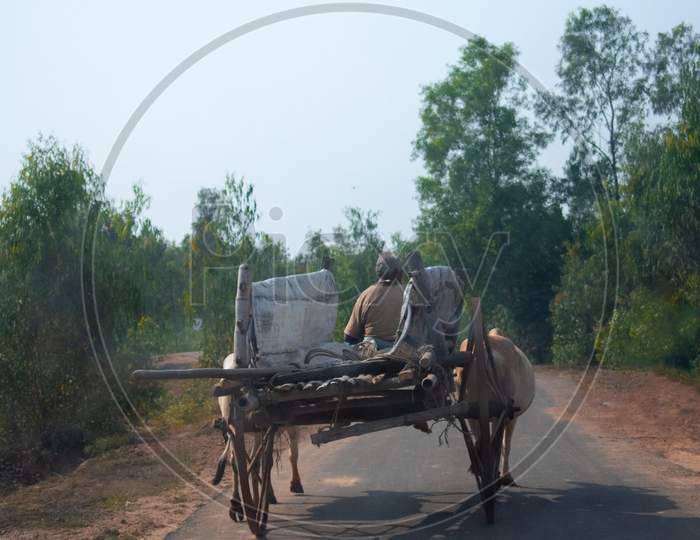 Image Of A Empty Bullock Cart Moving In A Village Road