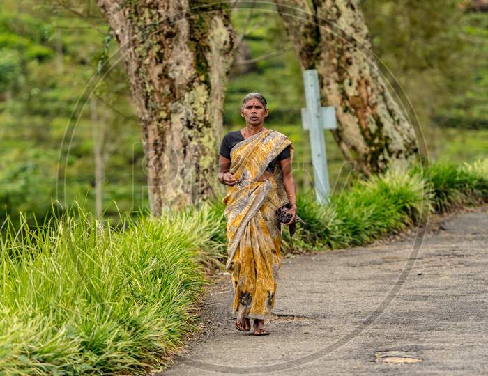 Haputale, Sri Lanka - November 23, 2019: Old Woman Worker Walk In Tea Factory In Tea Plantation Near Haputale. Sri Lanka.