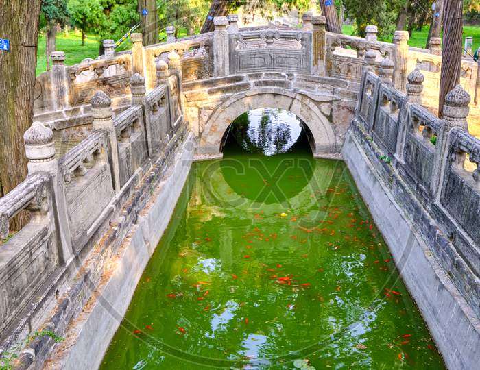 Traditional Chinese Garden At Temple Of Confucius, Unesco World Heritage Site In Qufu, Shandong Province, China