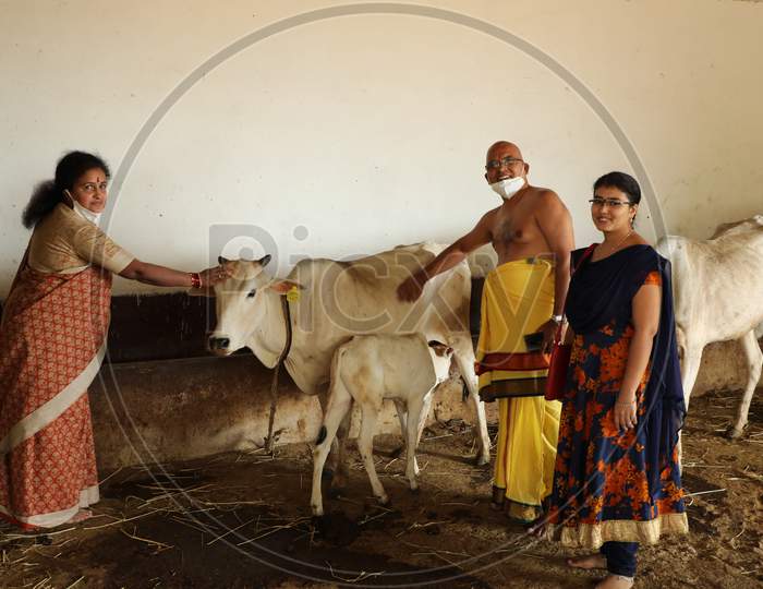 People with Cows at rural home