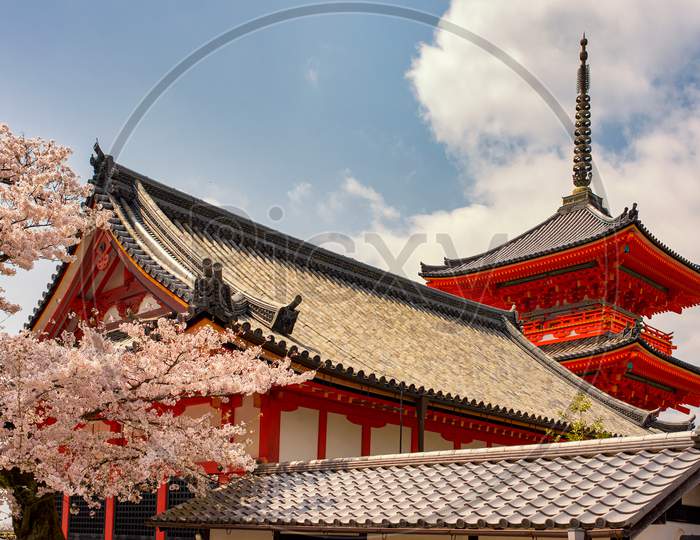 Kiyomizu-Dera, Japanese Buddhist Temple In Kyoto During Cherry Blossom Sakura Season