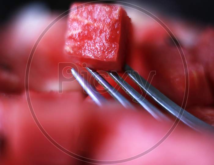 Close up of fresh watermelon cube picked with a fork. Refreshing summer fruit.