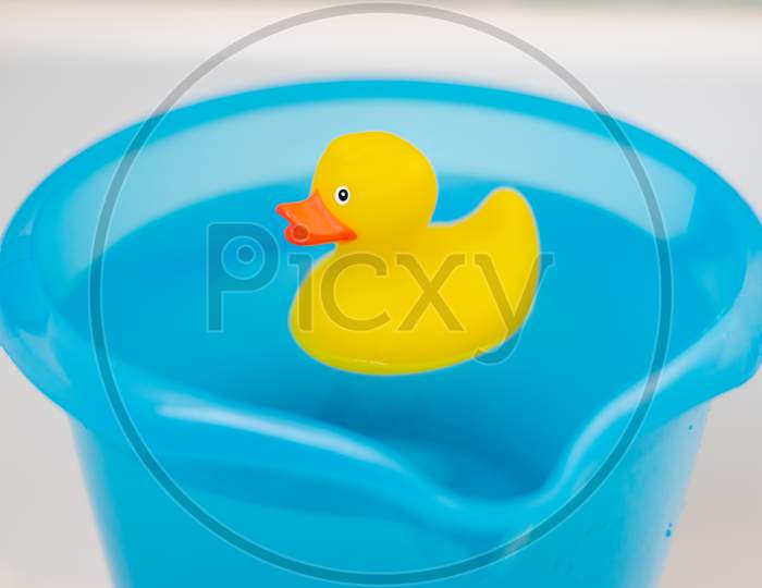 Yellow rubber duck in a blue bucket full of water