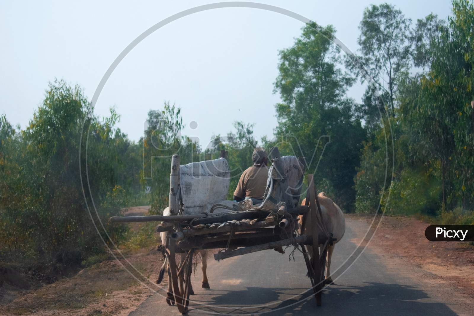 Image Of A Empty Bullock Cart Moving In A Village Road