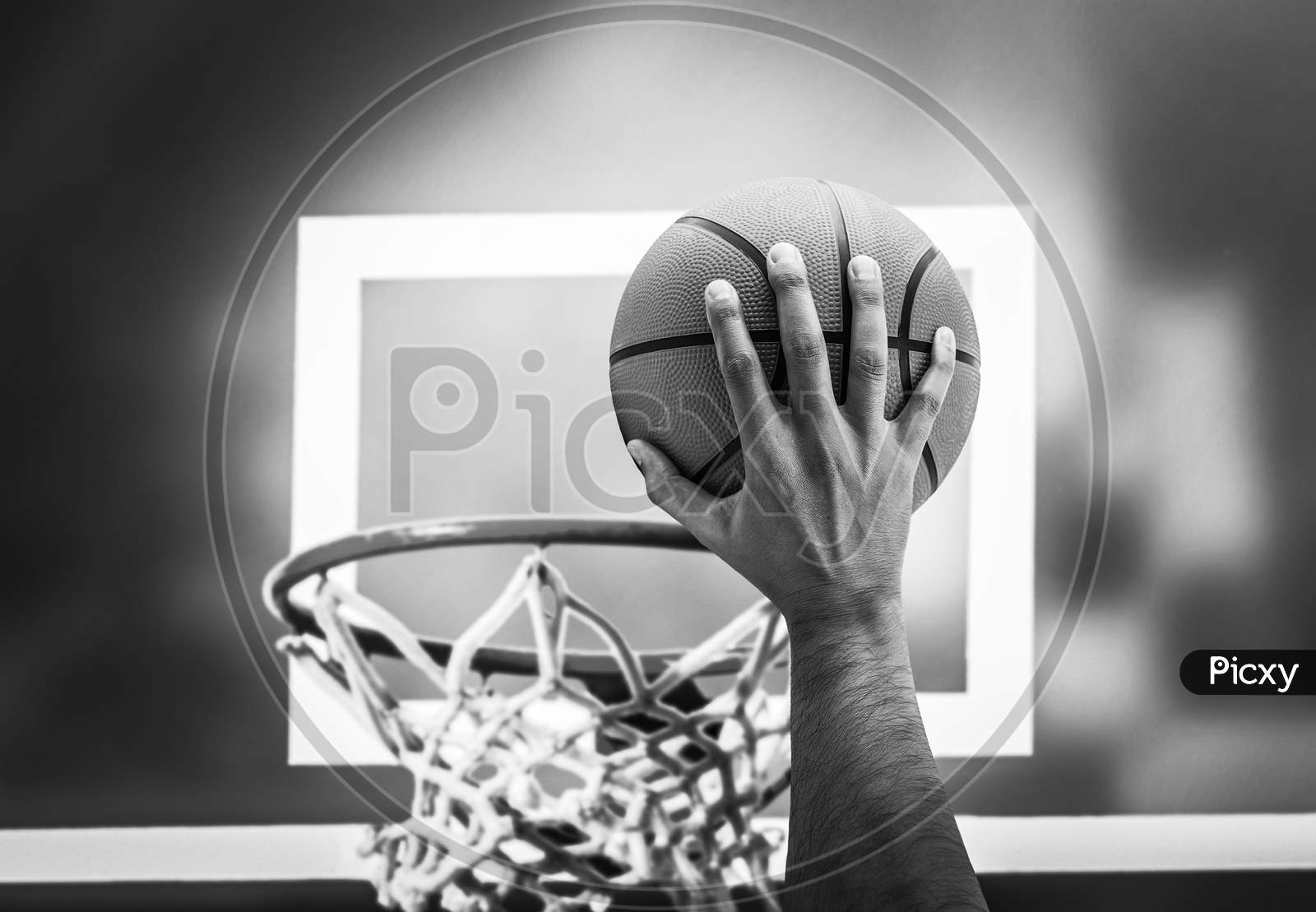 Throwing the basket ball into the basket mesh Black and white view
