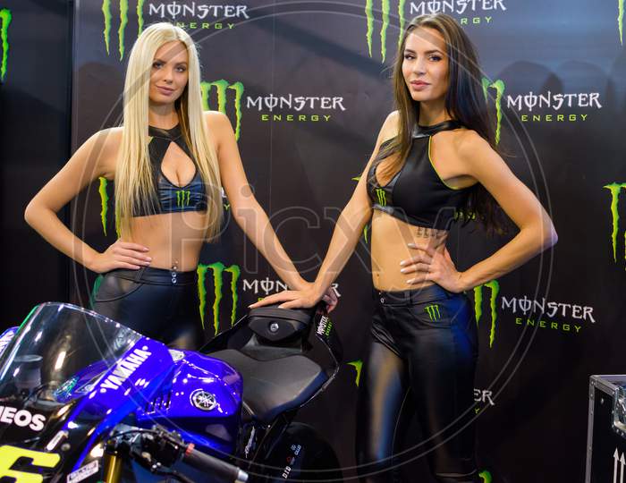 Beautiful Monster Energy girls pose with the motorcycle at Belgrade Car and Motor Show