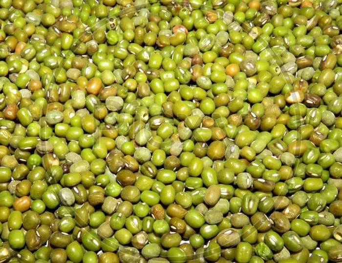 Close up of Mung Beans, Isolated Mung Beans,
