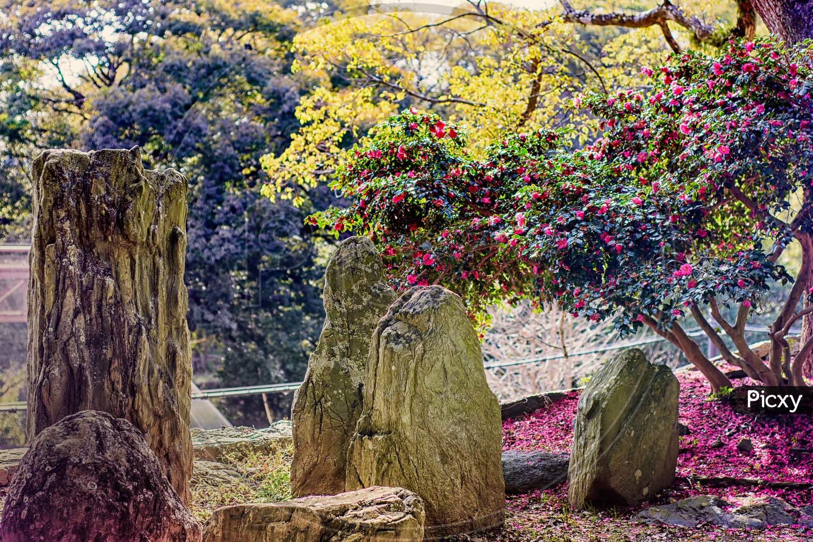 Garden In Wakayama Castle, Old Historic Japanese Castle In Wakayama City, Kansai, Japan