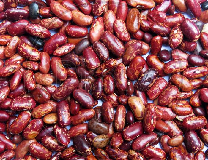 Close up of kidney bean, Isolated kidney beans.