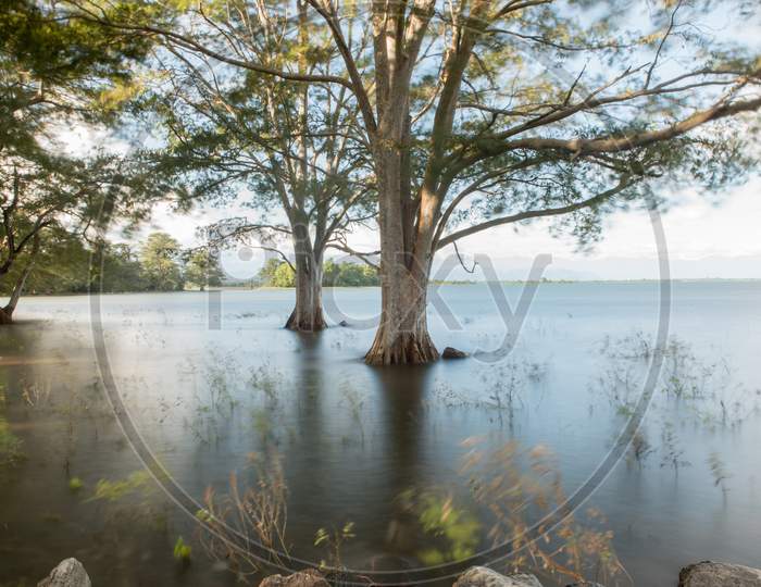 Lake In The Udawalawe National Park in Sri Lanka.