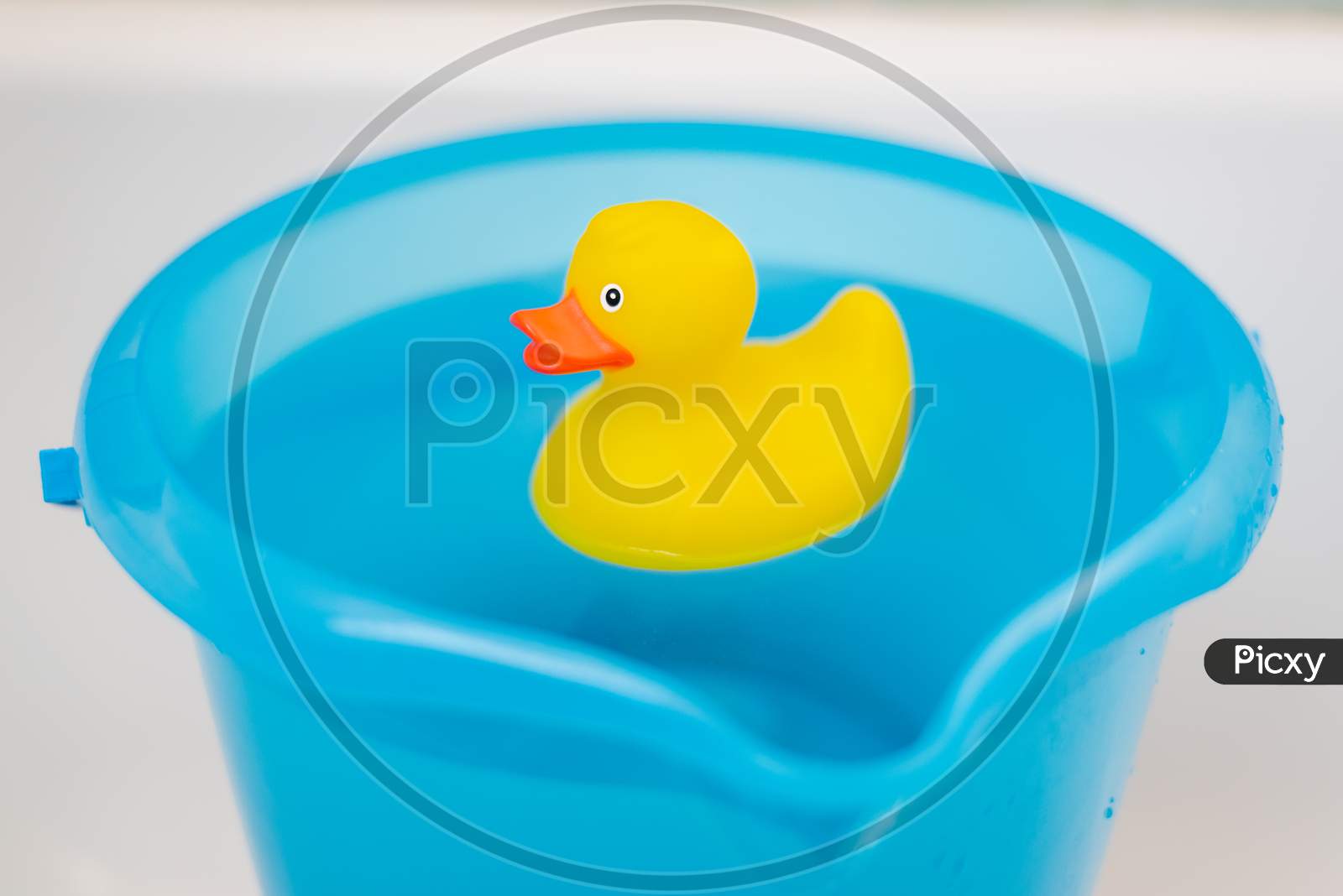 Yellow rubber duck in a blue bucket full of water