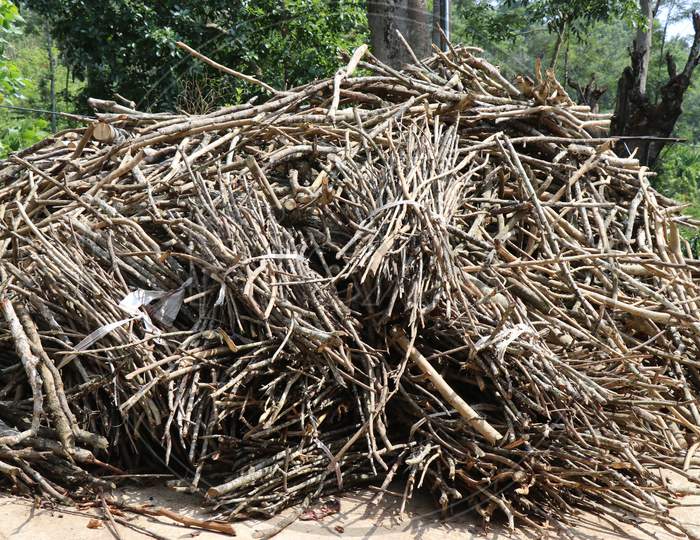 Pile Of Firewood In Rural Place Stocked For Use In Winter For Cooking