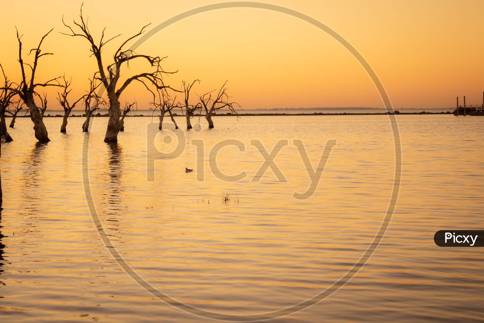 Sunset On Lake Epecuen. Dead Trees Submerged In Salt Water. Flooded City In Southern Argentina.