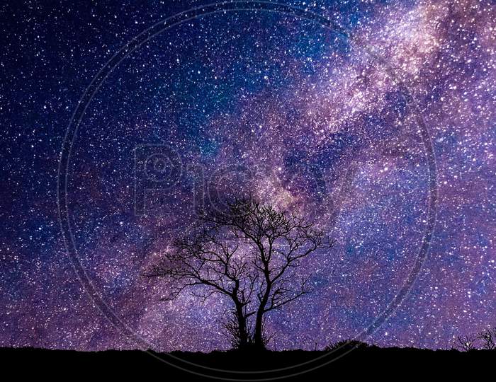 Galaxy and the tree. stars in background with noise shallow depth of field