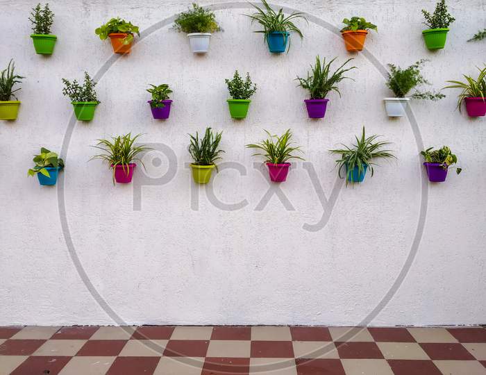 White Brick Wall With Colorful Plants And Pots Hanging On It With Space For Text.