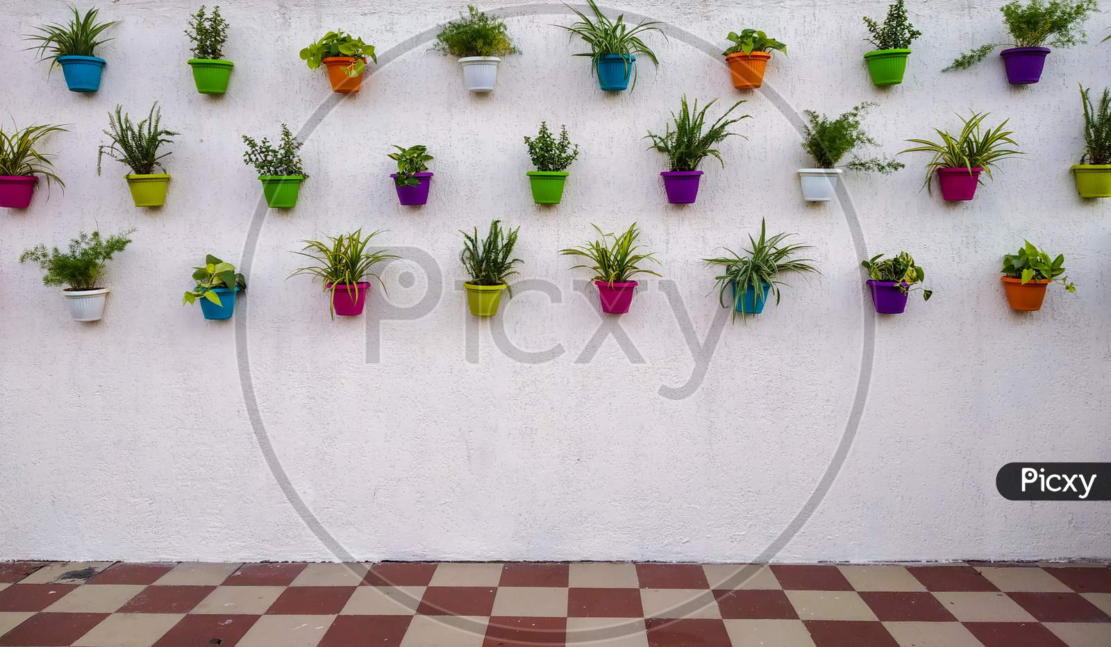 White Brick Wall With Colorful Plants And Pots Hanging On It With Space For Text.