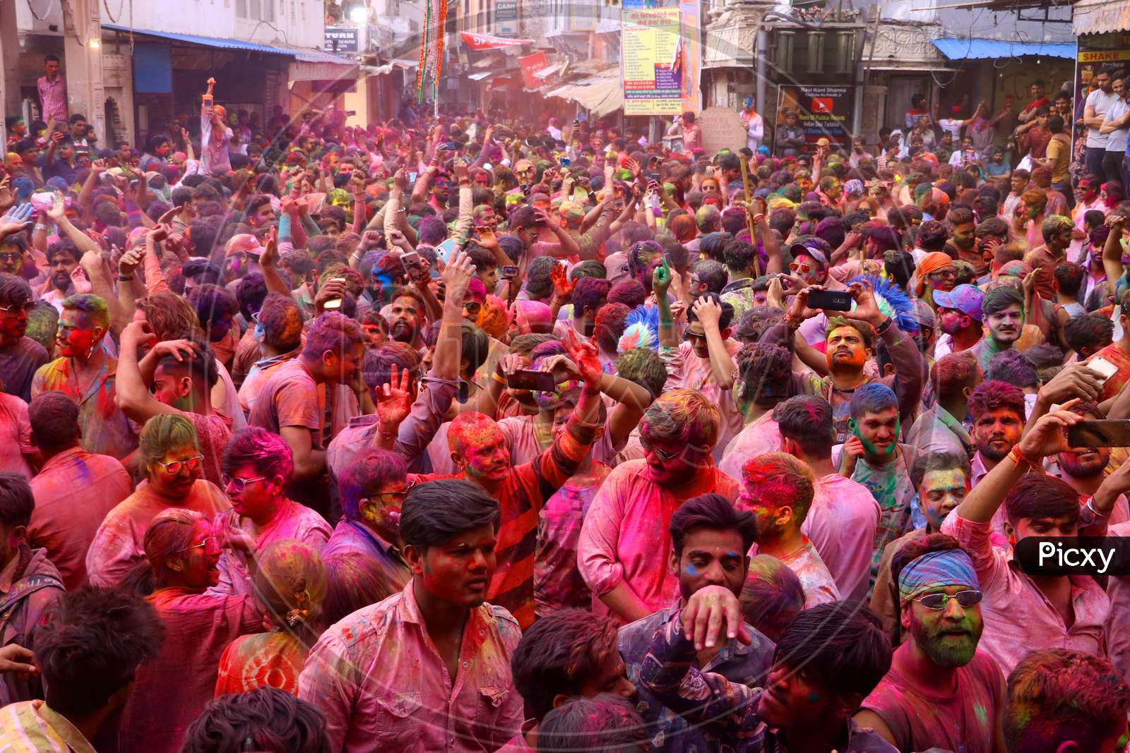 foreign tourist holi in india