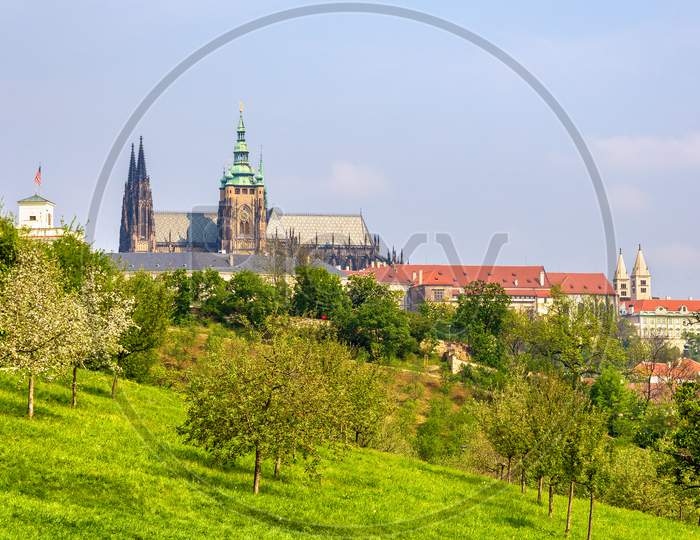 View Of Prague Castle - Czech Republic