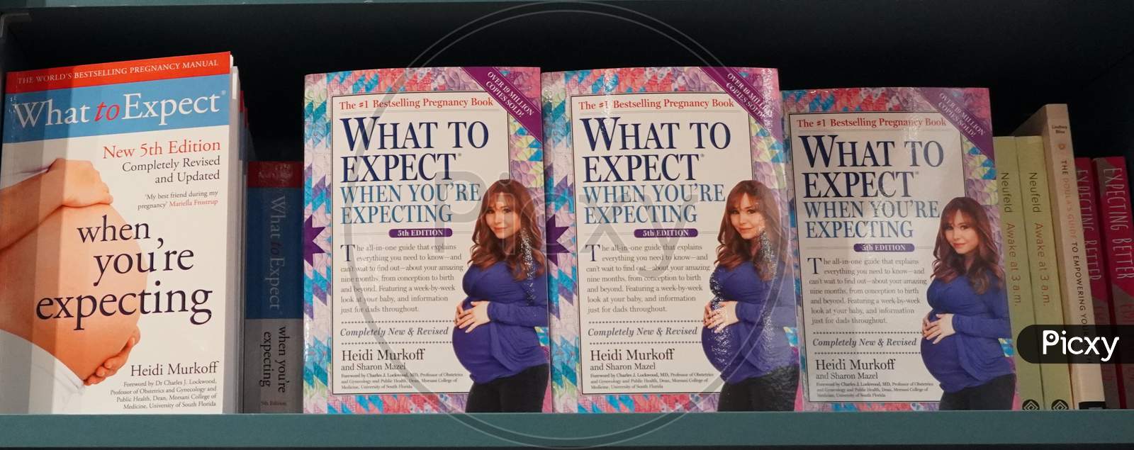 Bookshelf In Library With Many Parenting Books For Sale. Parenting, Toddler Guidebooks. Children Books. Toddler Books. What To Expect When You Are Expecting. Pregnancy Guide - Dubai Uae December 2019