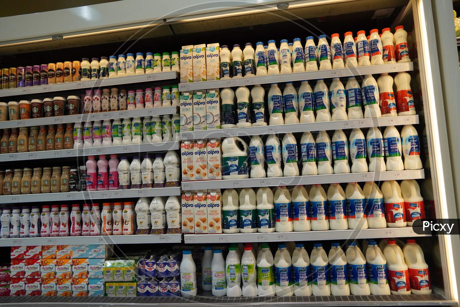 Milk Bottles Arranged On Shelves For Sale. Variety Of Sizes. Also Present Flavored Milk Strawberry Milk, Camel Milk, Coconut Milk, Almond Milk. Almarai Brand Milk Bottles.