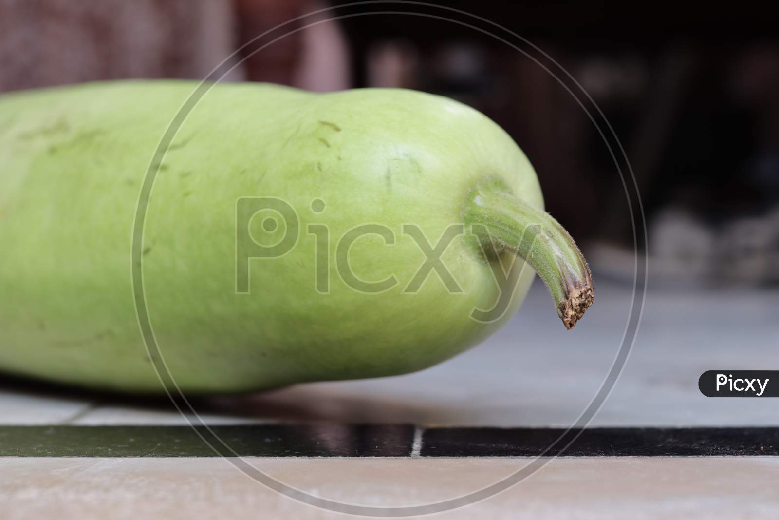 Bottle Gourd, Green Healthy Vegetable Closeup