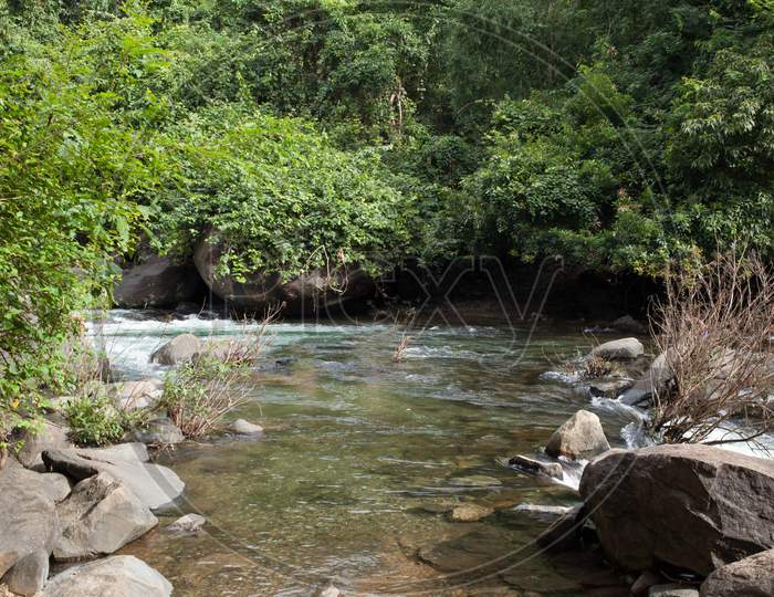Natural forest water streaming