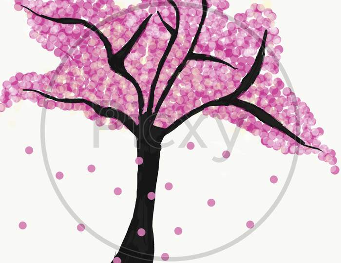 Blossom Flower Cherry blossom Pink Tree Woody plant