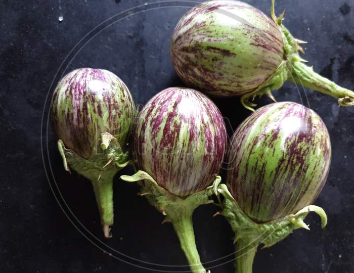 These are the brinjals