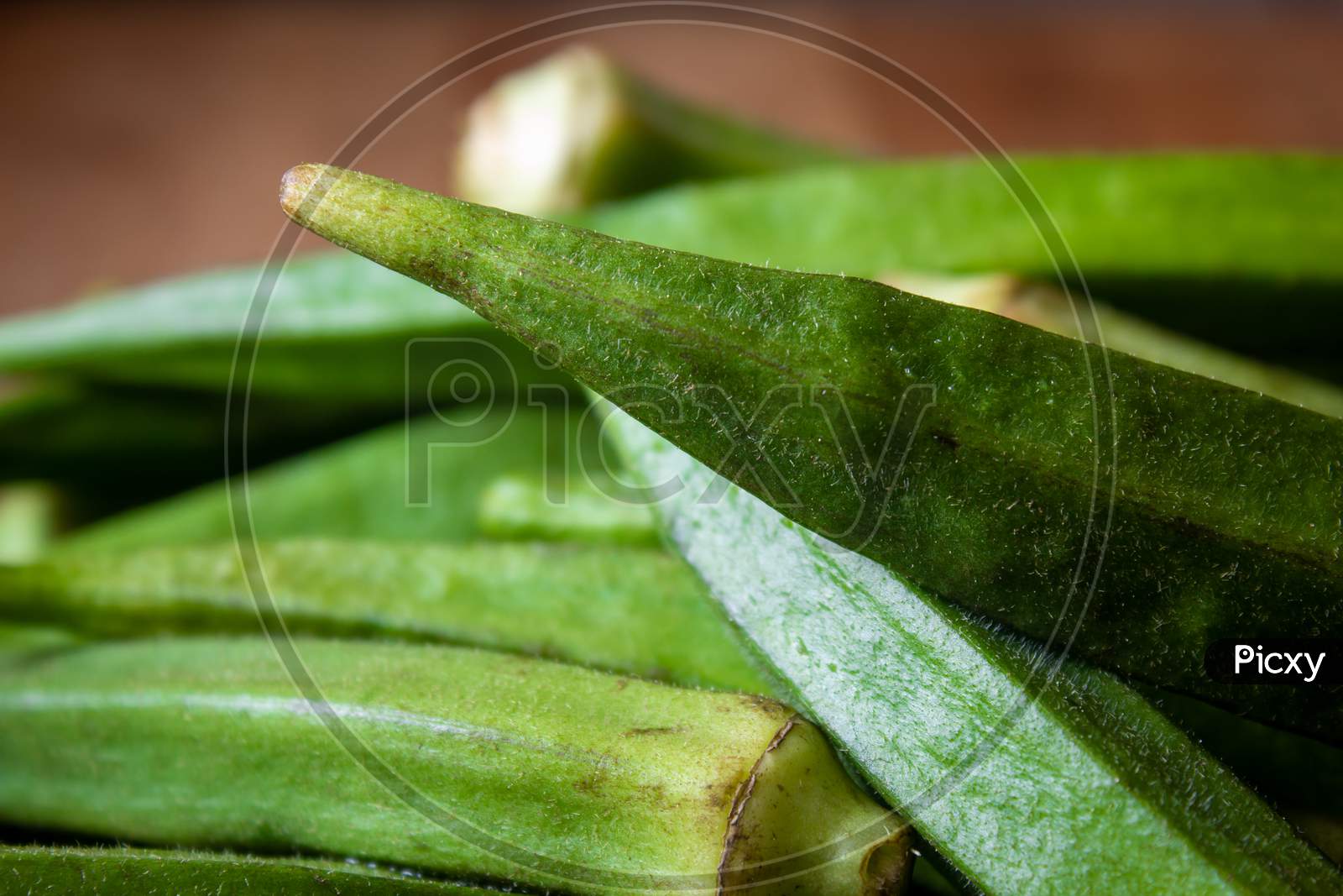 Close View Of The Okra Vegetable (Also Called As Ladies Finger).