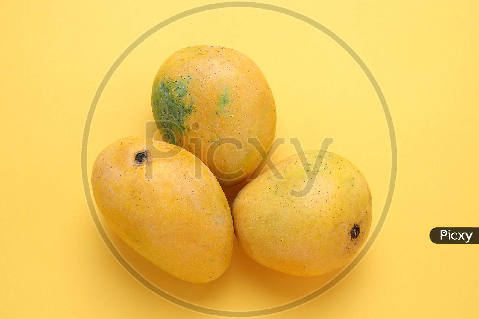 Yellow Mango Isolated On Yellow Background