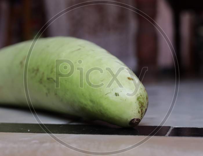 Bottle Gourd, Green Healthy Vegetable Closeup
