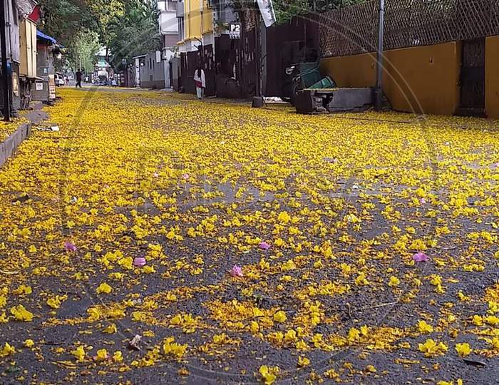 Yellow colour Flowers in the Road