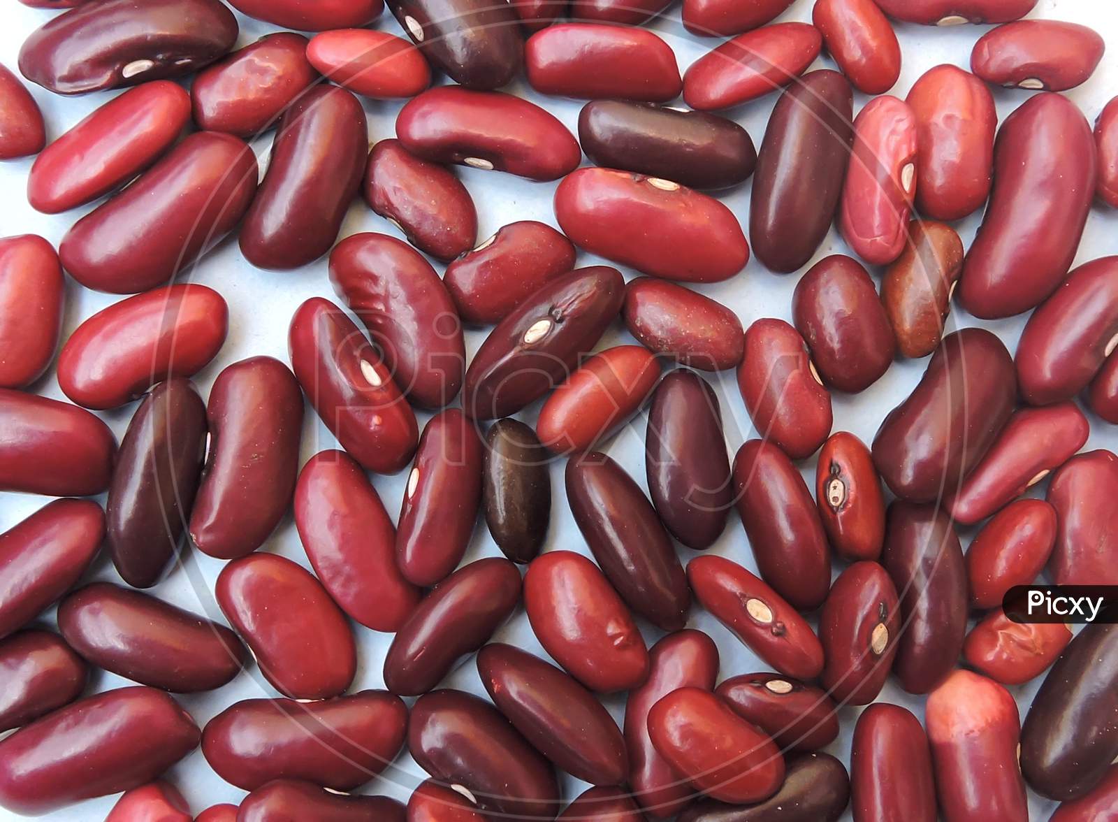 Red kidney beans or Rajma