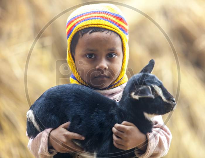 Bangladesh – January 06, 2014: A Little Kid is Holding A Yeanling At Ranisankail, Thakurgaon.