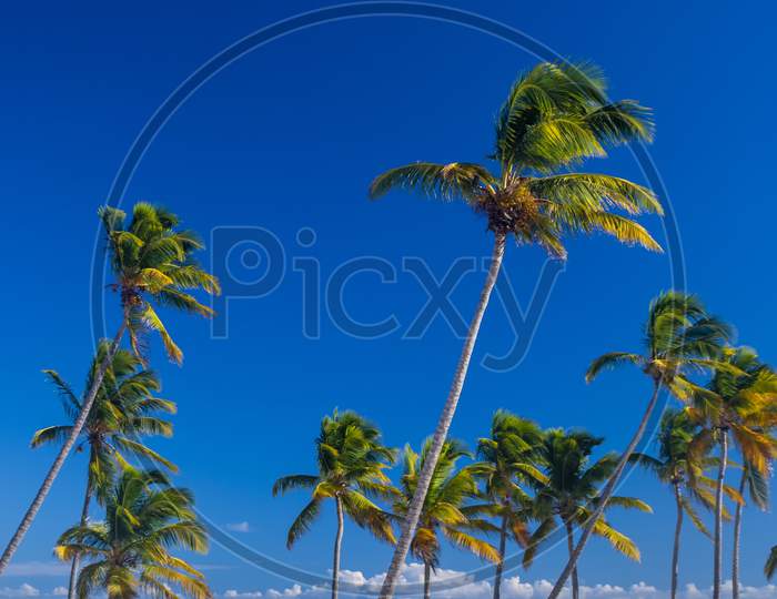 A Caribbean beach in the Dominican Republic