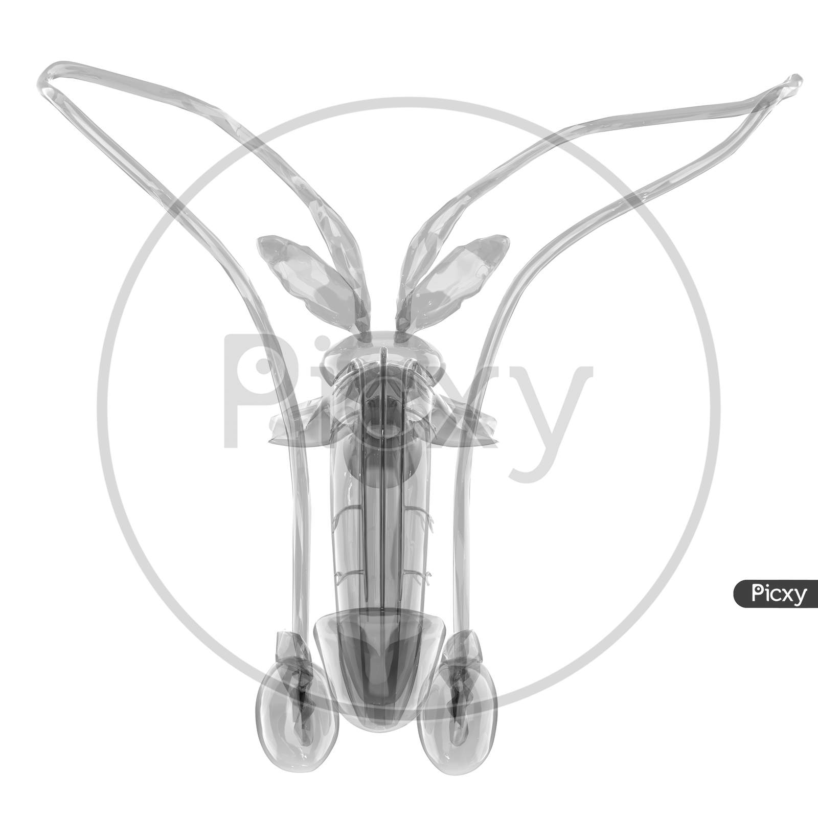 image-of-male-reproductive-system-anatomy-ur905852-picxy