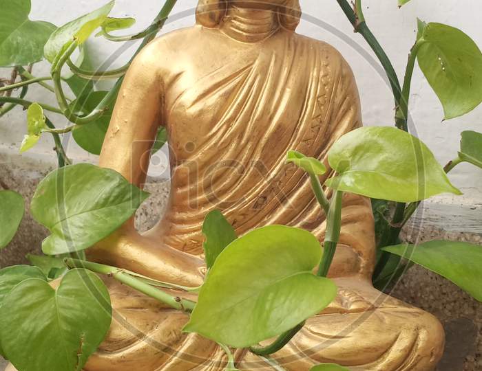 Gautam buddha statue