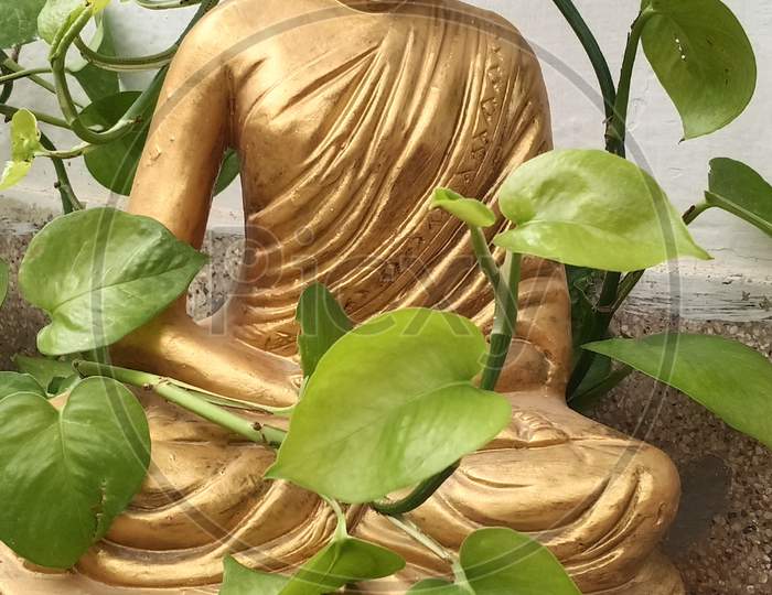 Gautam buddha statue.
