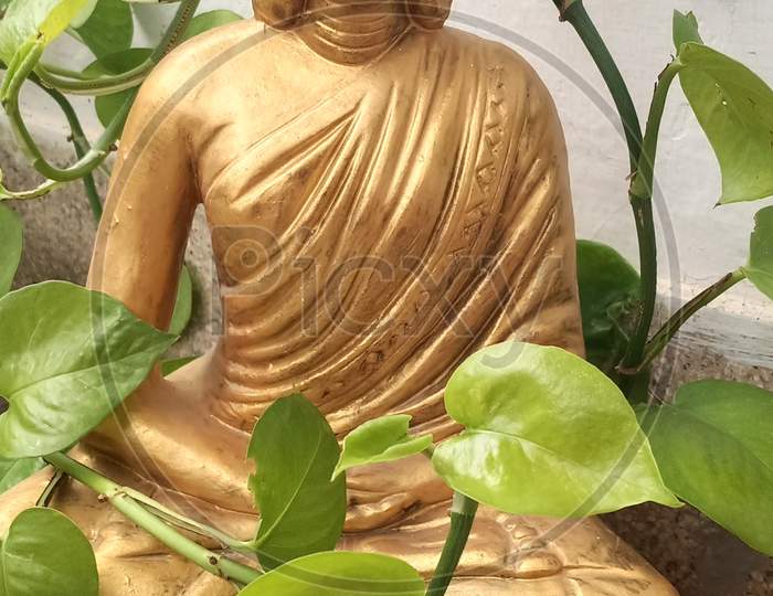 Gautam buddha statue.