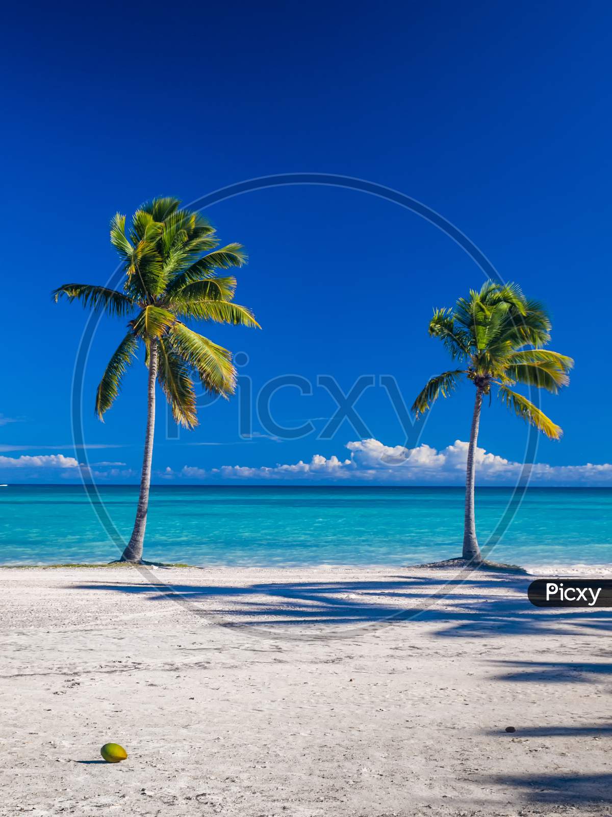 A Caribbean beach in the Dominican Republic