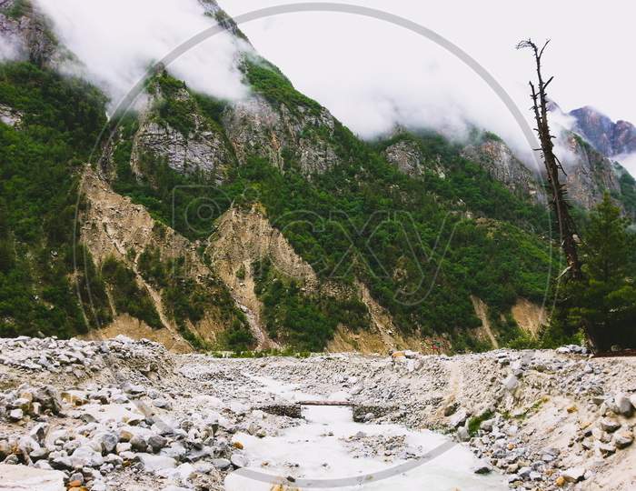 Rivulet flows through Himalayas in Gangotri