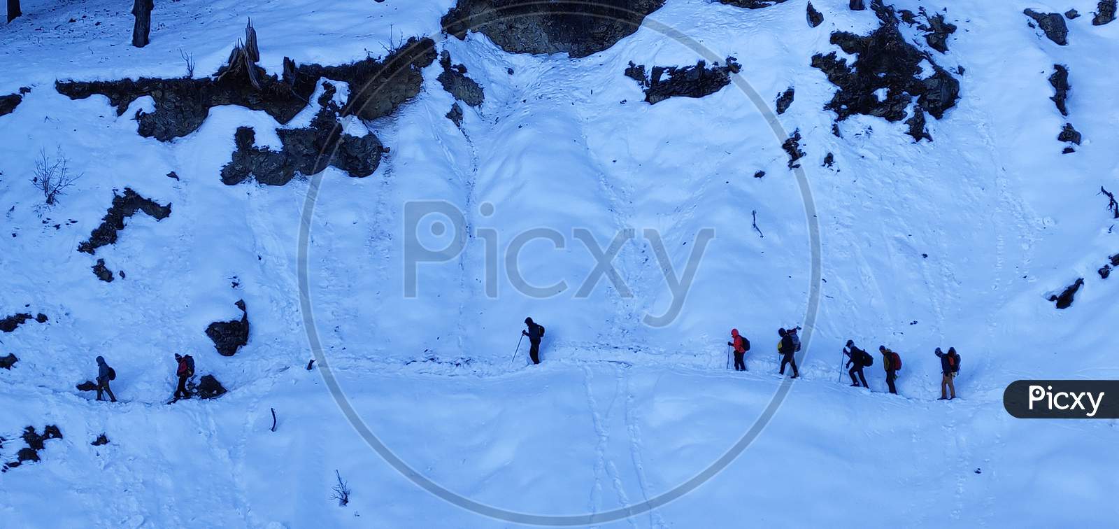 A group of trekkers in snow